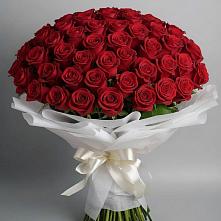 Букет 101 Красная роза Блэк Мэджик в Крапивна