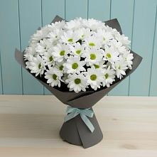 Букет цветов из:  Хризантемы #REPLACE_PRED# Крапивна