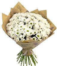 Букет цветов из:  Хризантемы #REPLACE_PRED# Крапивна