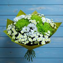 Букет цветов из:  Хризантемы #REPLACE_PRED# Крапивна