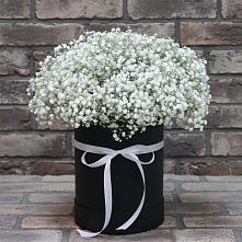 Цветочная композиция из Гипсофила в шляпной коробке #REPLACE_PRED# Крапивна