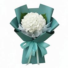 Букет цветов из:  Гортензия в Крапивна